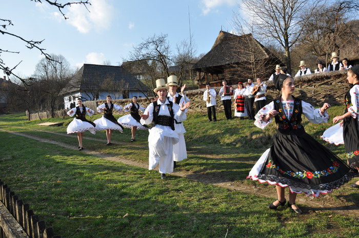 muzeul satului baia mare