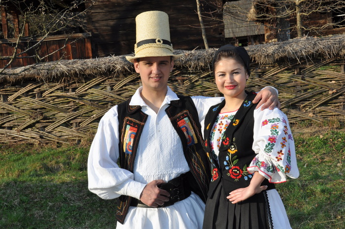 muzeul satului baia mare