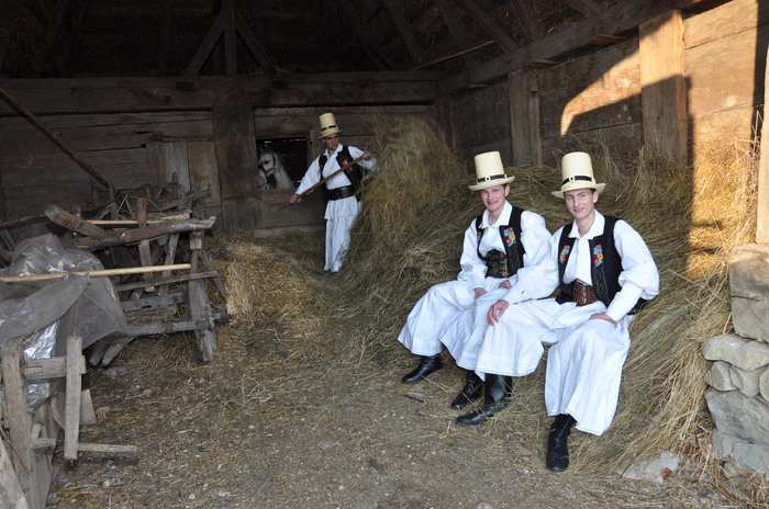 muzeul satului baia mare