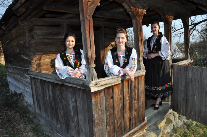 muzeul satului baia mare