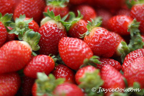 strawberry_take_away - culori faine