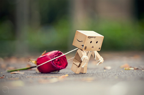 30675611_ZQFDKBCBV - Danbo My lov3