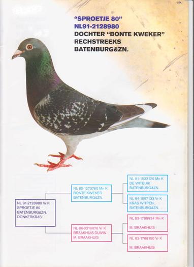 pag.27 - catalog Jan Aarden 1