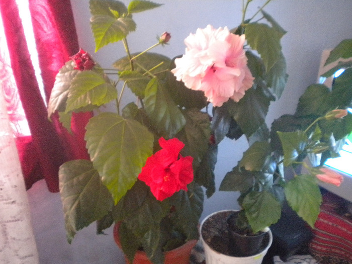 DSCN0651