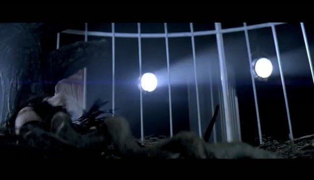 bscap0390 - Cant Be Tamed Official