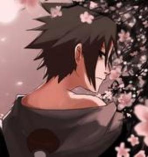 13554813_OLORUMAHG - sasuke