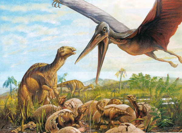 877 (3) - dinozauri