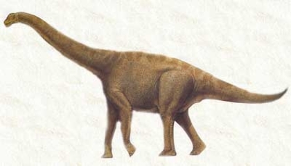 877 (27) - dinozauri