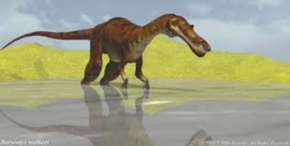 3254r3wr5 (8) - dinozauri
