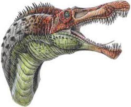 3254r3wr5 (26) - dinozauri