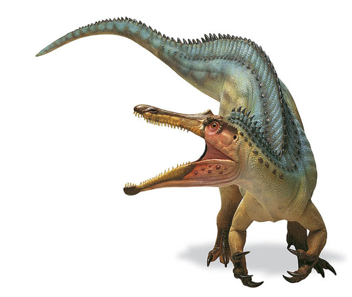 3254r3wr5 (27) - dinozauri