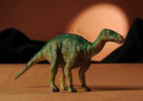 3254r3wr5 (29) - dinozauri