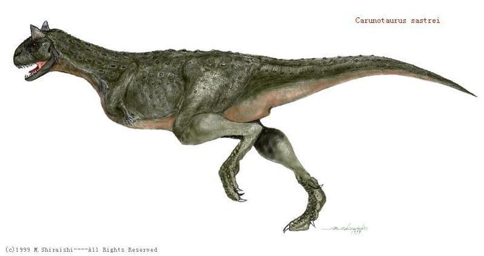 Carnotaurus-M.Shiraishi - dinozauri