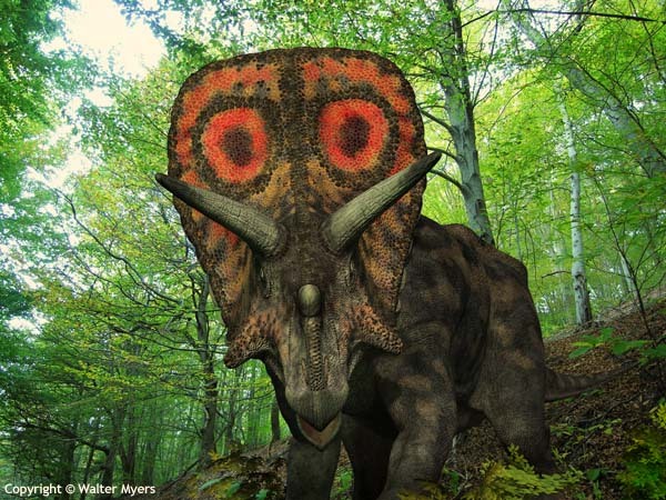 colorful_torosaurus_600 - dinozauri
