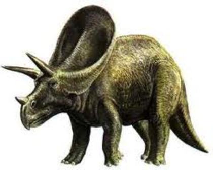 images - dinozauri