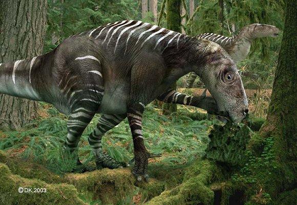 2ww (31) - dinozauri