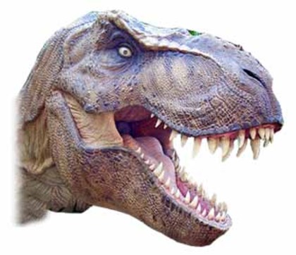 877 (12) - dinozauri