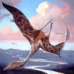 877 (22) - dinozauri