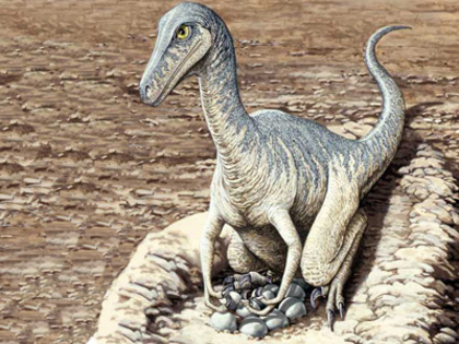 877 (23) - dinozauri
