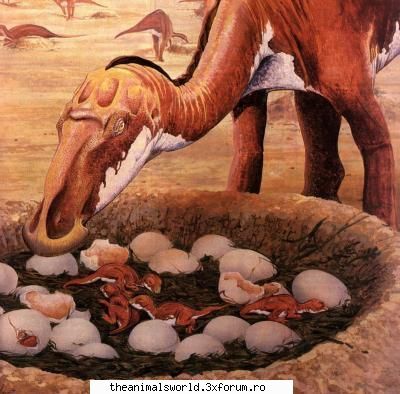 877 (28) - dinozauri