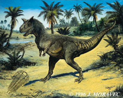jm_carnotaurus - dinozauri