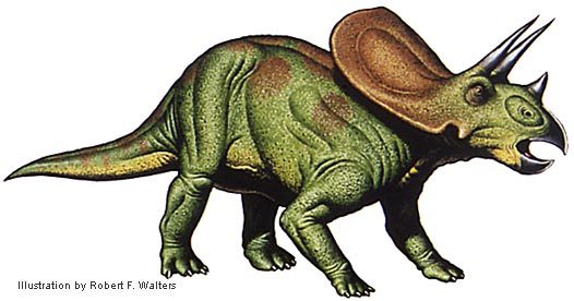 walters_torosaurus - dinozauri
