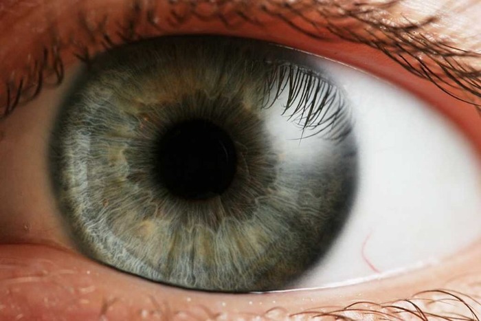 Eye_iris - ochii