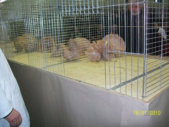 35303_136500876368782_100000266105054_298568_1641372_n