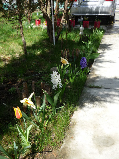 9-10 aprilie 2011