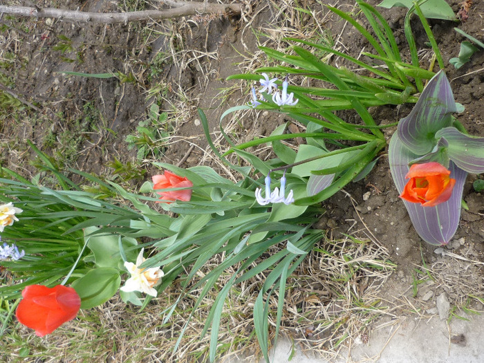 9-10 aprilie 2011