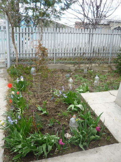9-10 aprilie 2011