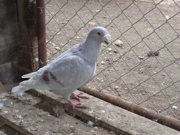 DSC00155