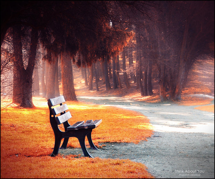 Think_About_You_by_Dr4kon - Poze