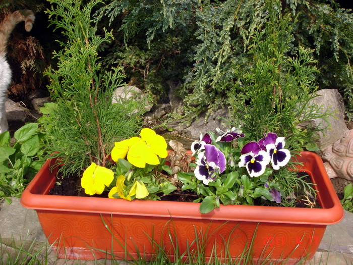 DSC09918