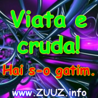 Viata e cruda hai s-o gatim - X-XoracolX-X