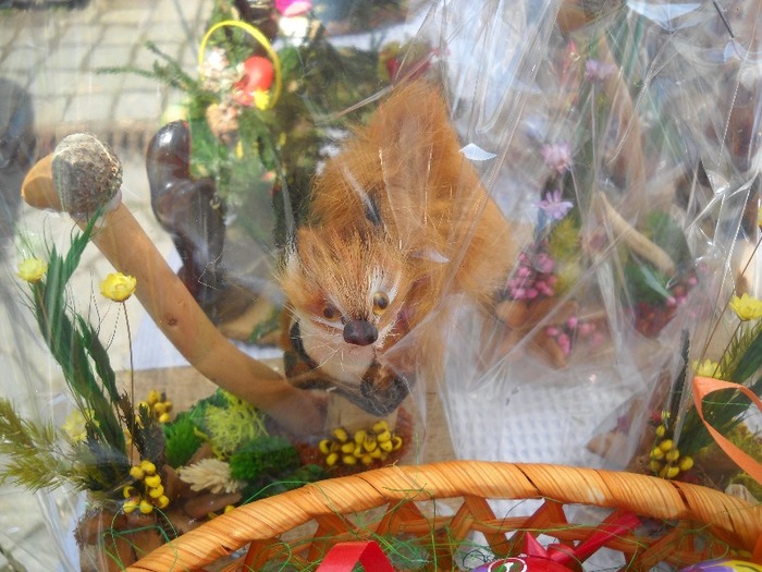 RATACITA PRINTRE OUA