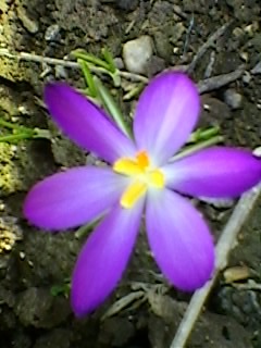 Copy (2) of SP_A1324