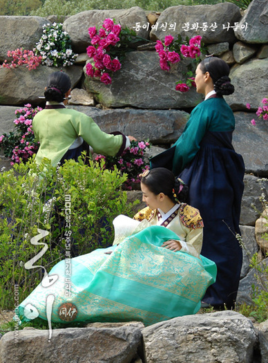 dongyi67
