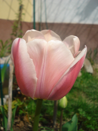 DSC02779