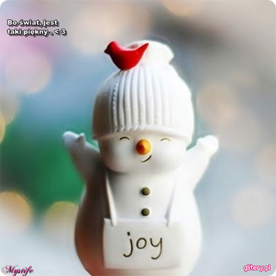 0089608159 - poze coolz2