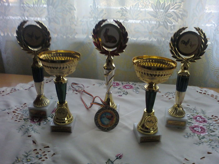 110417_194021 - Trofee Cupe Medali Diplome