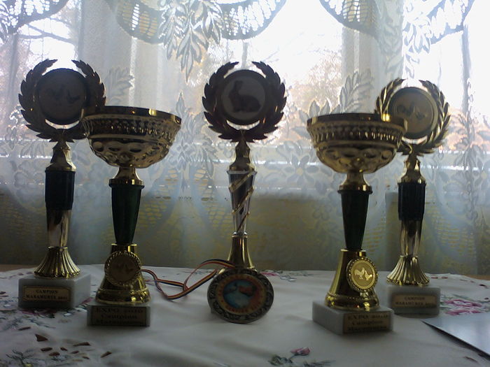 110417_194054 - Trofee Cupe Medali Diplome