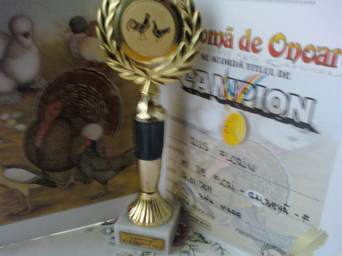 110417_194335 - Trofee Cupe Medali Diplome