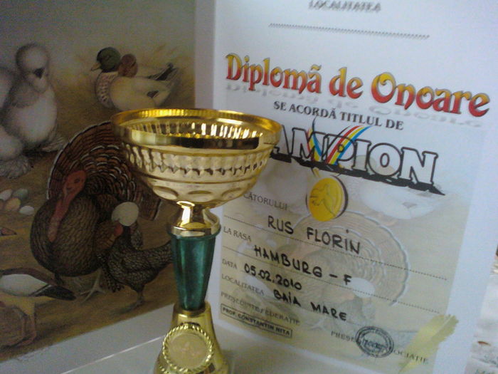 110417_194424 - Trofee Cupe Medali Diplome