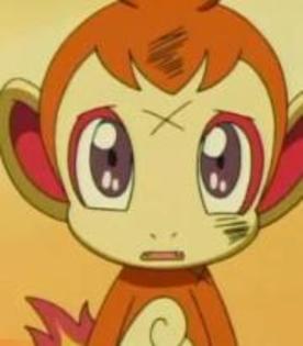 :X:X:X - O poza super cute cu chimchar