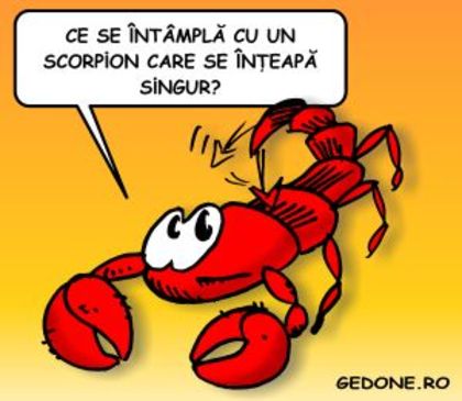 scorpion2 - zodia mea scoprion