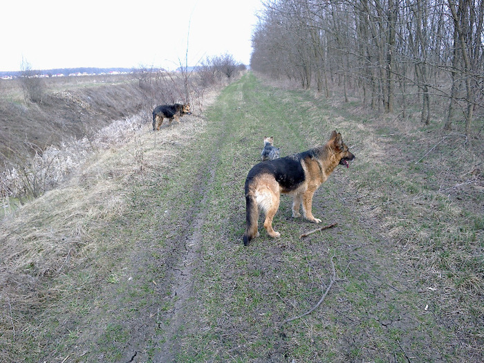 Bonny, Brutus si Mara - Viata la tara primavara