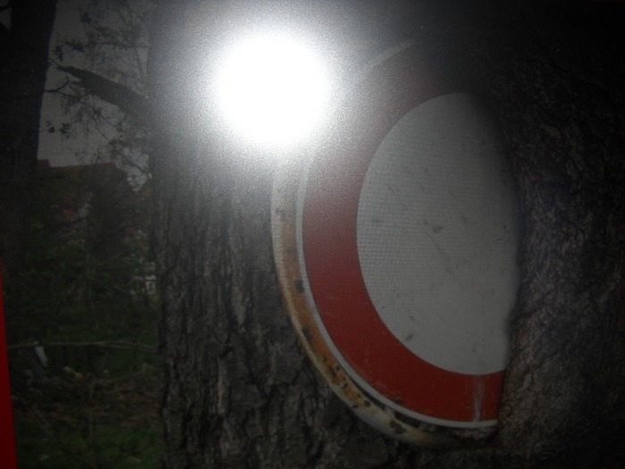 acces    crescut....... in pom