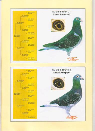 pag.9 - catalog Jan Aarden 2