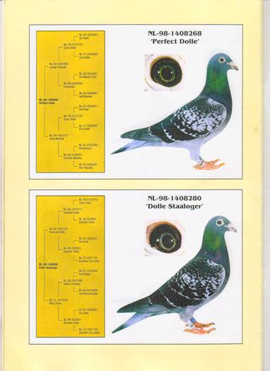 pag.12 - catalog Jan Aarden 2